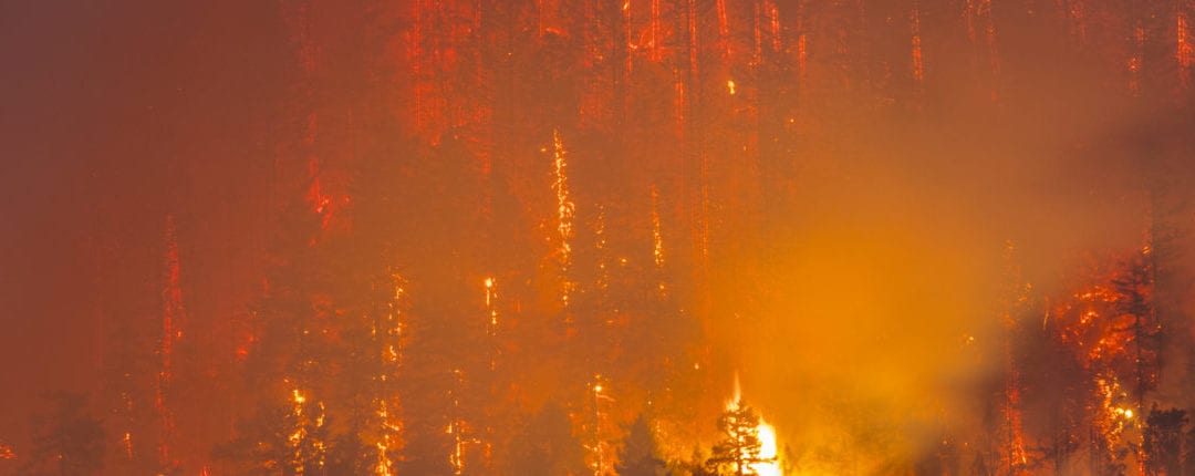 Western states brace for most severe wildfire outbreak since 2012