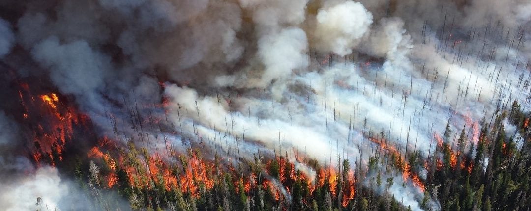 Delaying prescribed burns only feeds extreme wildfires